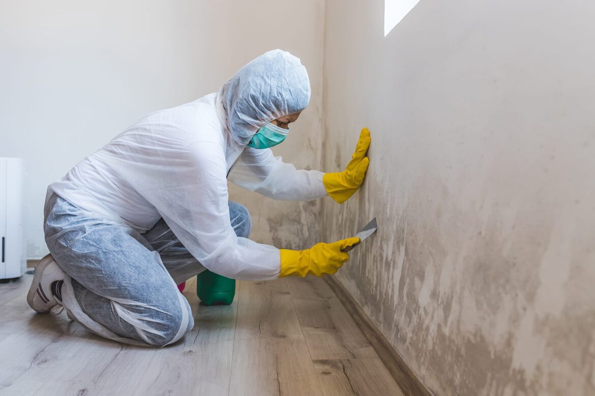 Mold Remediation – What You Need to Know