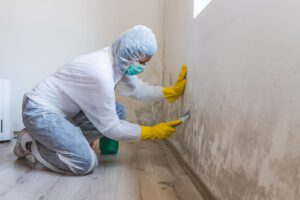 mold removal